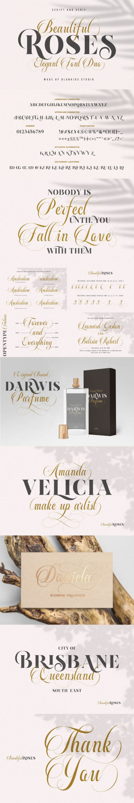 The Luxury Font Bundle