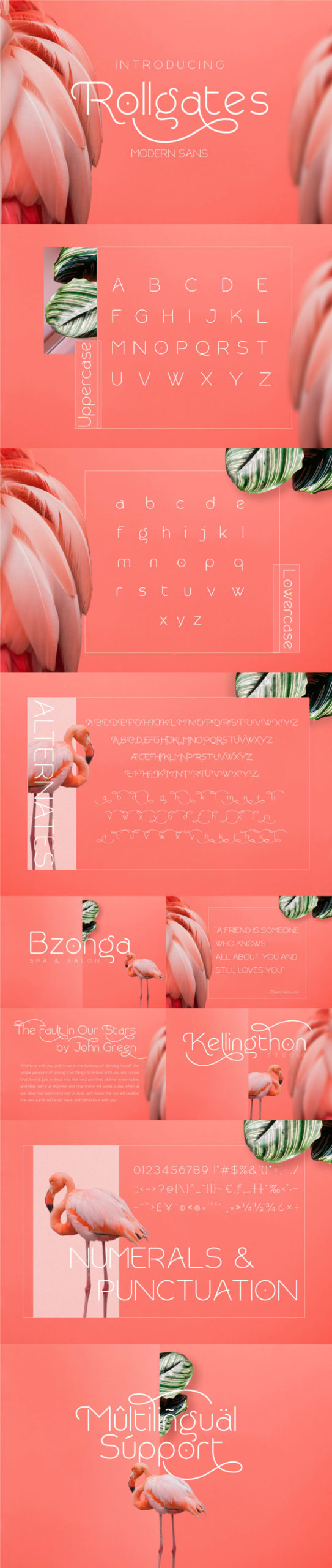 The Modern Font Bundle