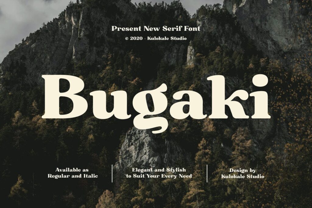 Bugaki - Elegant Serif Font
