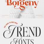 Now is the time! Modern fonts with a stylish seasonal design