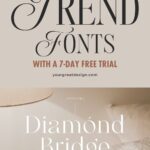 Trend deign fonts with a 7-day free trial